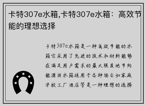 卡特307e水箱,卡特307e水箱：高效节能的理想选择